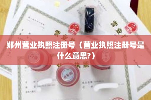 郑州营业执照注册号（营业执照注册号是什么意思?）