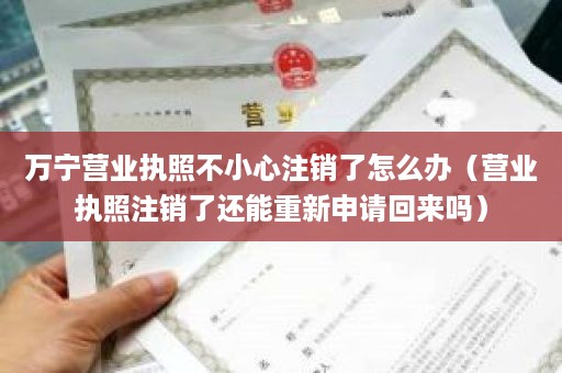 万宁营业执照不小心注销了怎么办（营业执照注销了还能重新申请回来吗）