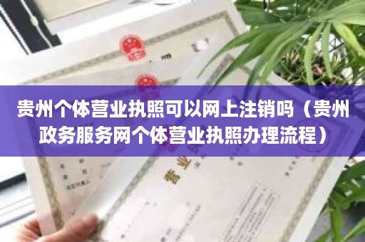 贵州个体营业执照可以网上注销吗（贵州政务服务网个体营业执照办理流程）