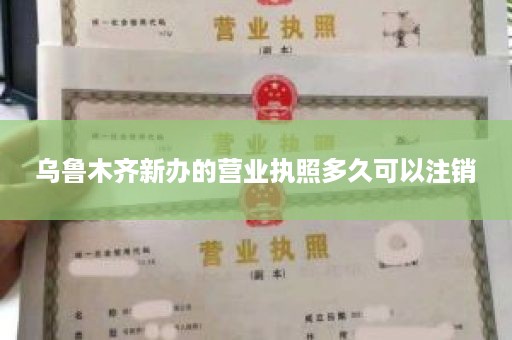 乌鲁木齐新办的营业执照多久可以注销