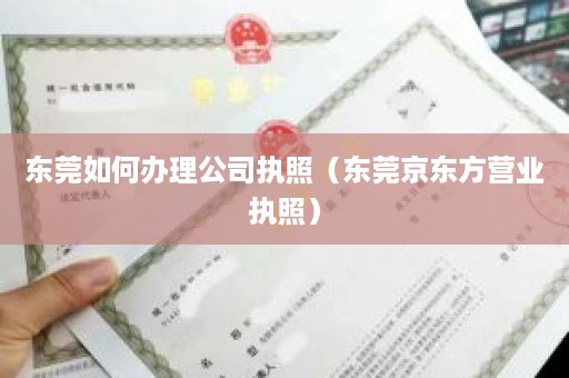 东莞如何办理公司执照（东莞京东方营业执照）