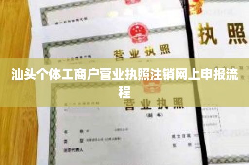 汕头个体工商户营业执照注销网上申报流程