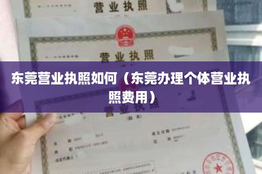 东莞营业执照如何（东莞办理个体营业执照费用）