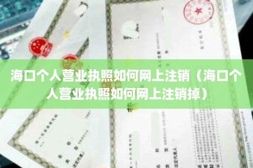 海口个人营业执照如何网上注销（海口个人营业执照如何网上注销掉）