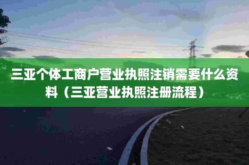 三亚个体工商户营业执照注销需要什么资料（三亚营业执照注册流程）