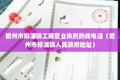 儋州市排浦镇工商营业执照热线电话（儋州市排浦镇人民政府地址）