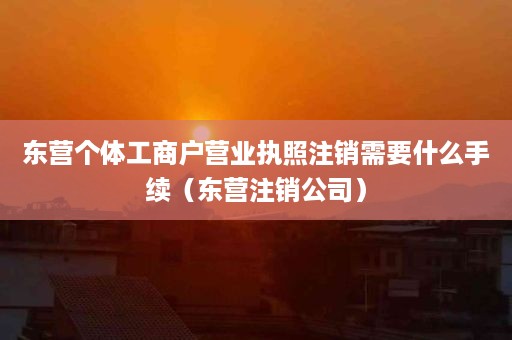 东营个体工商户营业执照注销需要什么手续（东营注销公司）