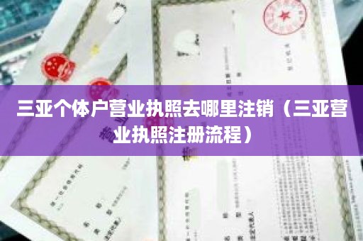 三亚个体户营业执照去哪里注销（三亚营业执照注册流程）