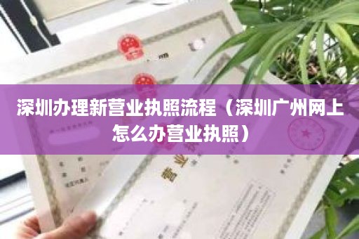 深圳办理新营业执照流程（深圳广州网上怎么办营业执照）