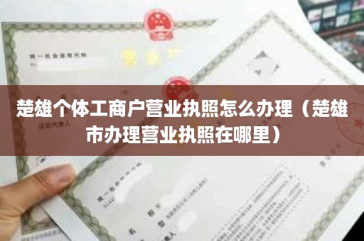 楚雄个体工商户营业执照怎么办理（楚雄市办理营业执照在哪里）