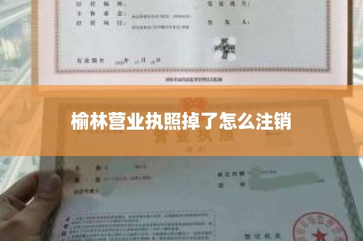 榆林营业执照掉了怎么注销