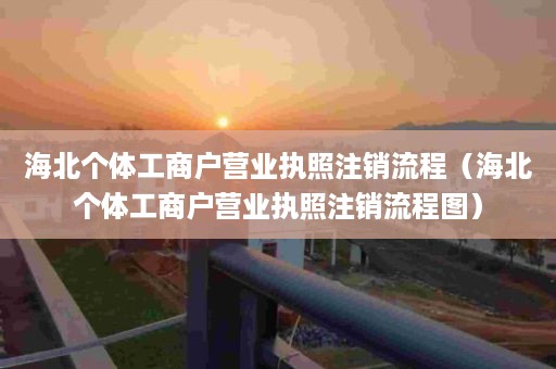 海北个体工商户营业执照注销流程（海北个体工商户营业执照注销流程图）