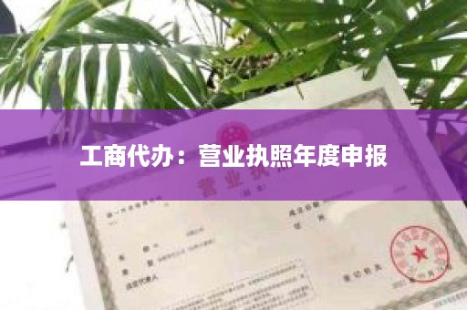 工商代办：营业执照年度申报