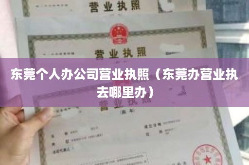 东莞个人办公司营业执照（东莞办营业执去哪里办）