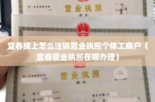 宜春线上怎么注销营业执照个体工商户（宜春营业执照在哪办理）