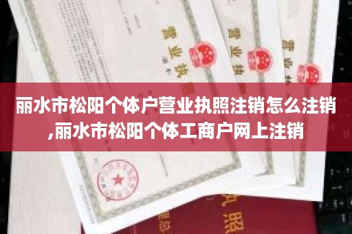 丽水市松阳个体户营业执照注销怎么注销,丽水市松阳个体工商户网上注销