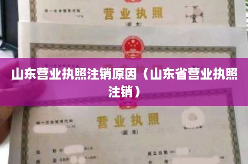 山东营业执照注销原因（山东省营业执照注销）