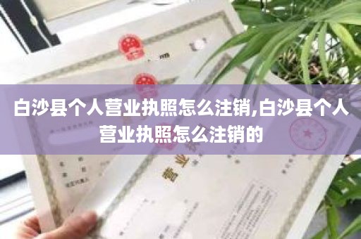 白沙县个人营业执照怎么注销,白沙县个人营业执照怎么注销的