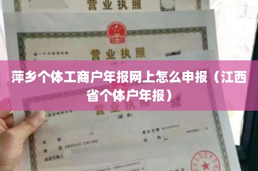 萍乡个体工商户年报网上怎么申报（江西省个体户年报）