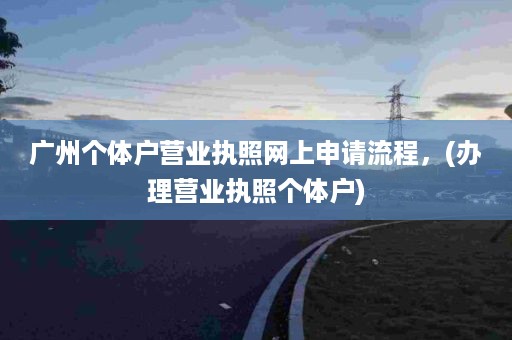 广州个体户营业执照网上申请流程，(办理营业执照个体户)