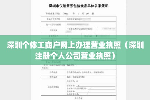 深圳个体工商户网上办理营业执照（深圳注册个人公司营业执照）