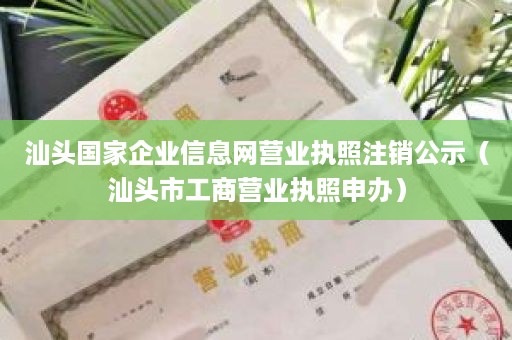 汕头国家企业信息网营业执照注销公示（汕头市工商营业执照申办）