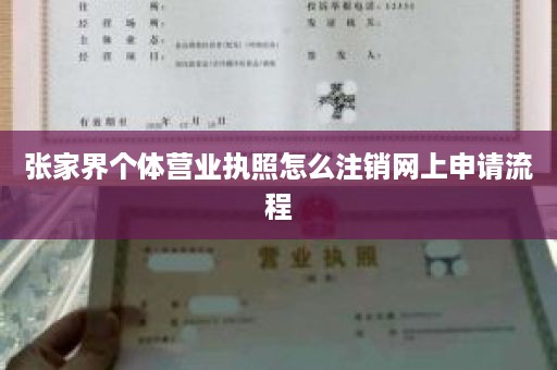 张家界个体营业执照怎么注销网上申请流程