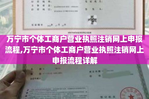 万宁市个体工商户营业执照注销网上申报流程,万宁市个体工商户营业执照注销网上申报流程详解