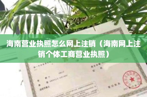 海南营业执照怎么网上注销（海南网上注销个体工商营业执照）