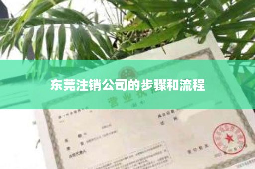 东莞注销公司的步骤和流程