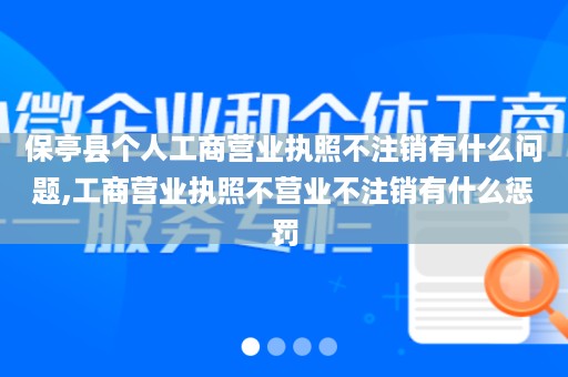 保亭县个人工商营业执照不注销有什么问题,工商营业执照不营业不注销有什么惩罚