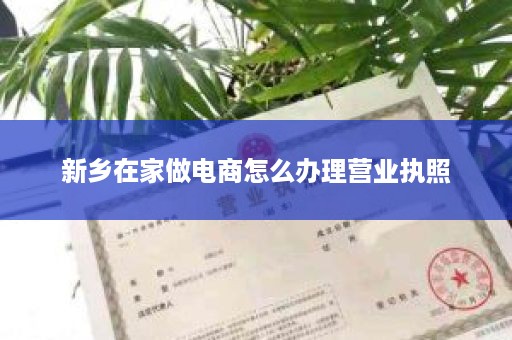 新乡在家做电商怎么办理营业执照