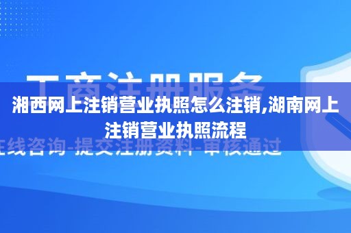 湘西网上注销营业执照怎么注销,湖南网上注销营业执照流程