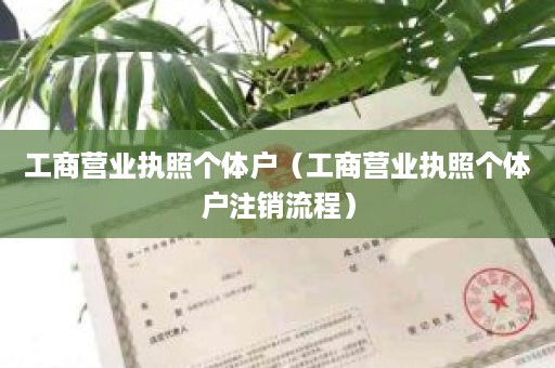 工商营业执照个体户（工商营业执照个体户注销流程）