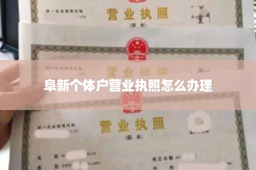 阜新个体户营业执照怎么办理