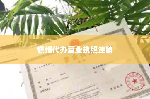 儋州代办营业执照注销