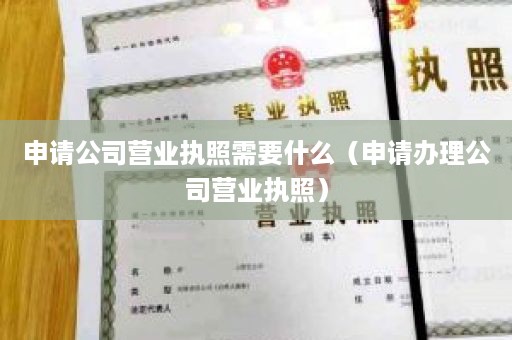 申请公司营业执照需要什么（申请办理公司营业执照）