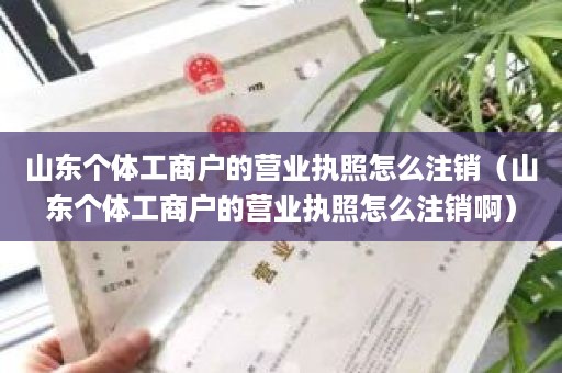 山东个体工商户的营业执照怎么注销（山东个体工商户的营业执照怎么注销啊）