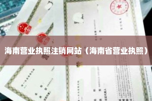 海南营业执照注销网站（海南省营业执照）