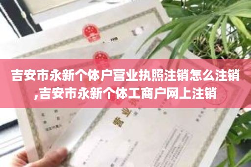 吉安市永新个体户营业执照注销怎么注销,吉安市永新个体工商户网上注销