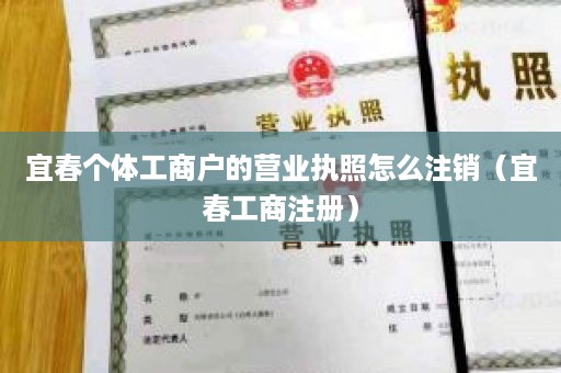 宜春个体工商户的营业执照怎么注销（宜春工商注册）