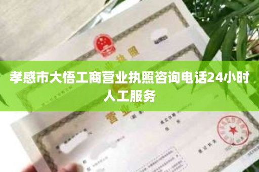 孝感市大悟工商营业执照咨询电话24小时人工服务