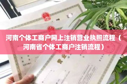 河南个体工商户网上注销营业执照流程（河南省个体工商户注销流程）