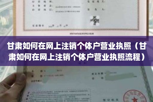 甘肃如何在网上注销个体户营业执照（甘肃如何在网上注销个体户营业执照流程）