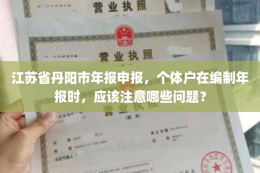 江苏省丹阳市年报申报，个体户在编制年报时，应该注意哪些问题？