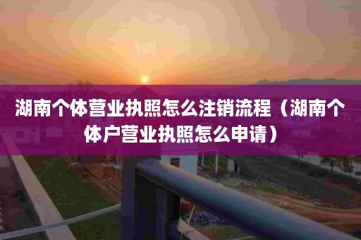 湖南个体营业执照怎么注销流程（湖南个体户营业执照怎么申请）