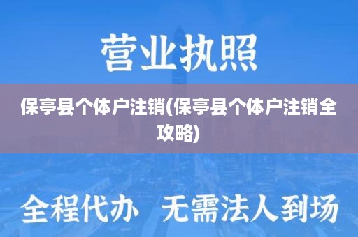 保亭县个体户注销(保亭县个体户注销全攻略)