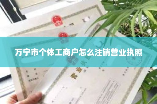 万宁市个体工商户怎么注销营业执照