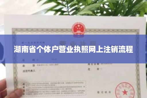 湖南省个体户营业执照网上注销流程