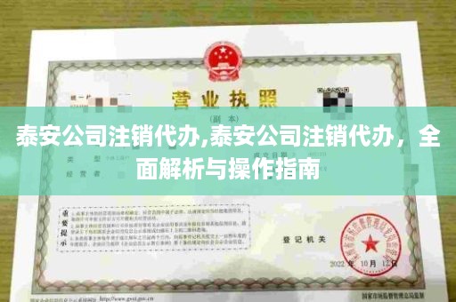 泰安公司注销代办,泰安公司注销代办，全面解析与操作指南